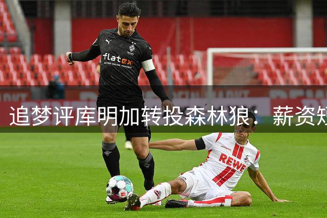 追梦评库明加转投森林狼：薪资短板恐成隐忧